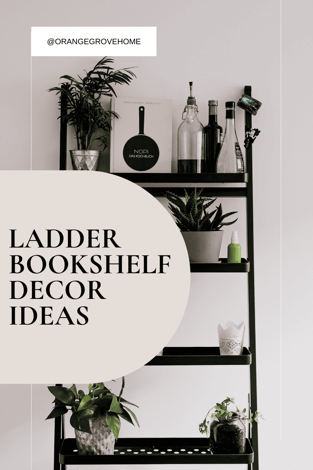 ladder bookshelf decor ideas